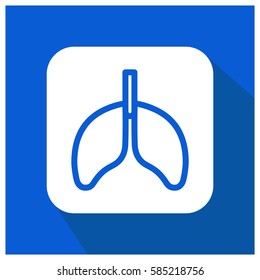 Lungs vector icon
