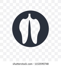 Lungs vector icon isolated on transparent background, Lungs logo concept