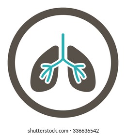 Lungs vector icon. Style is bicolor flat rounded symbol, grey and cyan colors, rounded angles, white background.