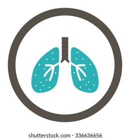 Lungs vector icon. Style is bicolor flat rounded symbol, grey and cyan colors, rounded angles, white background.