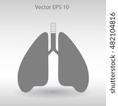 Lungs vector illustration