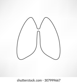 Lungs - vector illustration