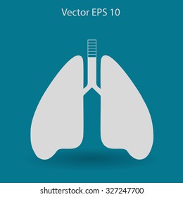 Lungs vector illustration