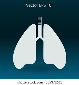 Lungs vector illustration