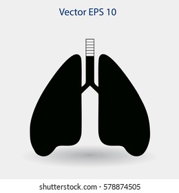 Lungs vector illustration