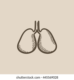 Lungs vector sketch icon isolated on background. Hand drawn Lungs icon. Lungs sketch icon for infographic, website or app.