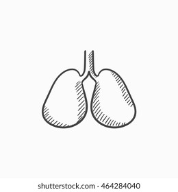 Lungs vector sketch icon isolated on background. Hand drawn Lungs icon. Lungs sketch icon for infographic, website or app.