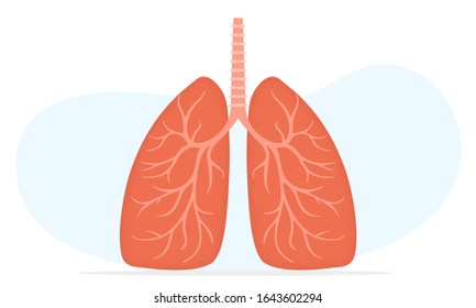 Lungs vector style illustration, human trachea