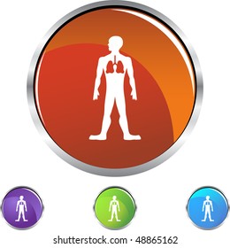 Lungs web button isolated on a background.