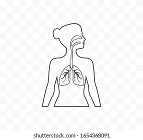 Lungs woman body silhouette. Vector illustration, flat design.