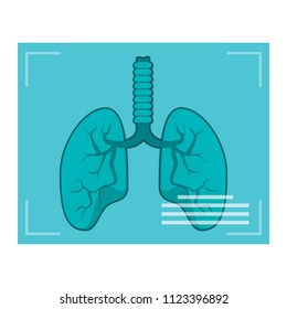 Lungs Xray Icon