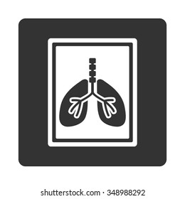 Lungs X-Ray Photo vector icon. Style is flat rounded square button, white and gray colors, white background.