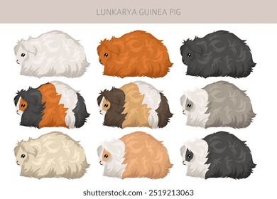 Lunkarya Clipart de conejillo de indias. Conjunto de cuevas de todos los colores de pelaje. Pequeños roedores mascota. Ilustración vectorial