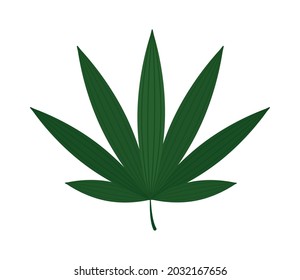 icono de la hoja de clavija sobre fondo blanco