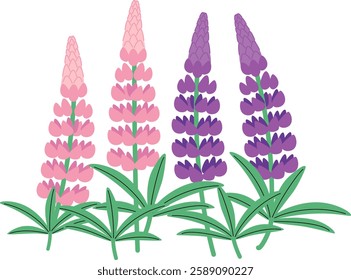 Lupine flower clip art,Cute flower vector illustration