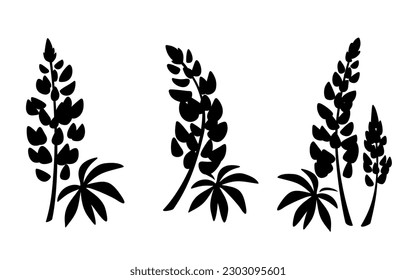 Lupine flowers. Black silhouettes of lupine flowers isolated on a white background. Set of vector illustrations