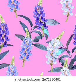 Patrón de lupino. Flor de Lupine. Patrón de verano. Flores de verano florecen. Hermoso fondo de patrón delicado