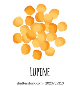 Lupine for template farmer market design, label and packing. Natural energy protein organic super food. Vector cartoon isolated illustration.