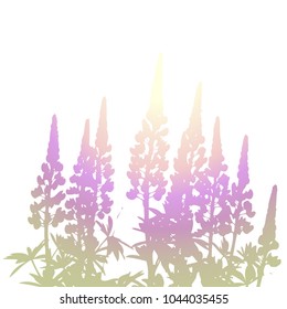 lupines silhouette. Vector