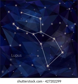 Lupus constellation in night sky, background is a triangulation.