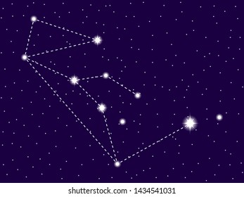 Lupus constellation. Starry night sky. Vector illustration