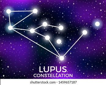 Lupus constellation. Starry night sky. Zodiac sign. Cluster of stars and galaxies. Deep space. Vector illustration