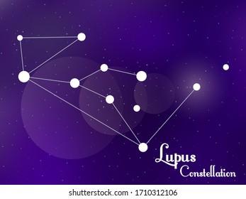 Lupus constellation. Starry night sky. Cluster of stars, galaxy. Deep space. Vector illustration