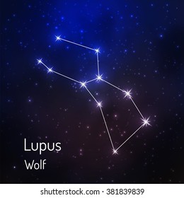 Lupus (wolf) constellation in the night starry sky. Vector illustration