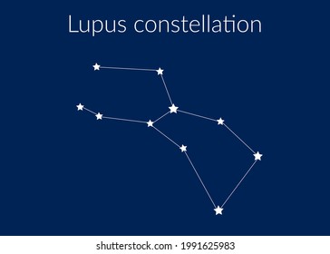 Lupus zodiac constellation sign with stars on blue background of cosmic sky. Vector illustration