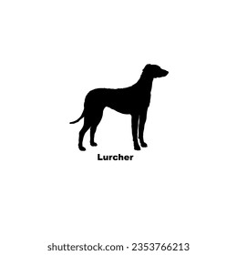 Lurcher dog silhouette dog breeds Animal Pet svg
