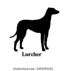Lurcher Dog silhouette dog breeds logo dog monogram logo dog face vector svg