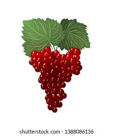 a luscious bunch of red grapes