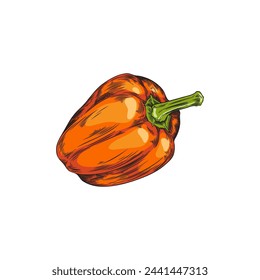 Lush bell pepper illustration with bold strokes and shading, capturing its plump shape and vivid orange hue. Perfect for culinary themes. Vector vegetable illustration.