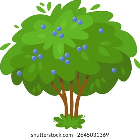 Lush blueberry bush with ripe berries growing in the garden, creating a vibrant and fruitful scene, ideal for representing nature, gardening, or healthy eating concepts