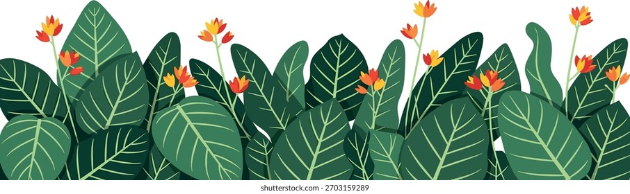 A lush border of large, dark green tropical leaves with prominent veins, interspersed with small, bright orange flowers, set against a clean white background.