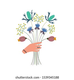 Lush bouquet of wildflowers in the hands. Herbal harvest. Alternative medicine alternative. Presentation of a flower gift. Vector