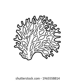 Lush coral object coloring book linear drawing isolated on white background