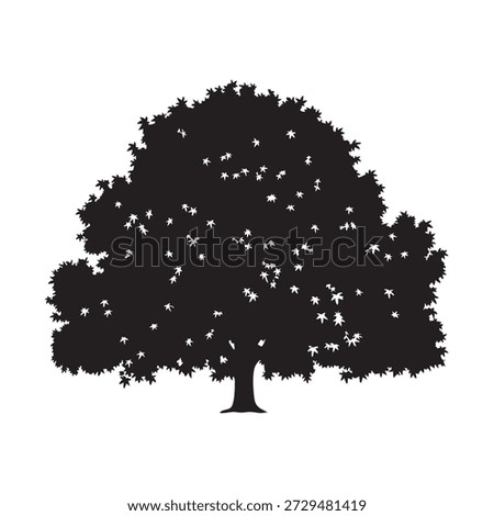 Lush deciduous tree, dense rounded canopy, distinct leaf details