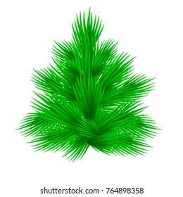 Lush fir tree Isolated on white vector illustration