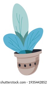 Lush foliage blooming, isolated icon of flower growing in pot. Gardening or plantation, florist shop or interior design for home or office. Houseplant with leaves, wild bouquet. Vector in flat style