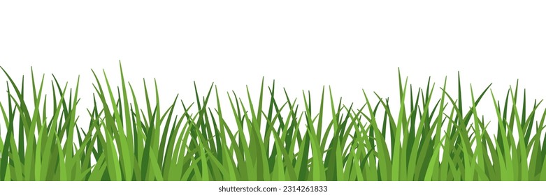 Lush grass and meadow close up isolated, ecology and environment concept