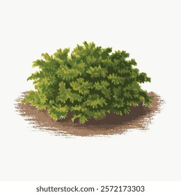 Lush green bush illustration on soil. Green bush with dense foliage. Artistic bush drawing with vibrant green leaves on earthy ground. Vintage plant vector element, isolated illustration.