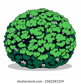 A lush green bush with rounded, thick foliage. Perfect for landscape and garden related branding.