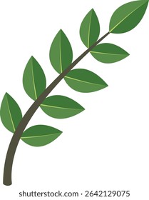 A lush green compound leaf with multiple leaflets, showcasing the intricate structure and diversity of natural forms in a detailed, minimalist design.