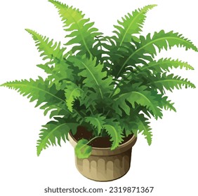 Lush Green Delight: Boston Fern - Indoor Plant