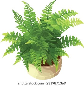 Delantero verde exuberante: Boston Fern - Planta interior