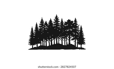 Lush Green Forest Landscape with Sunlight Filtering Through Tree Branches