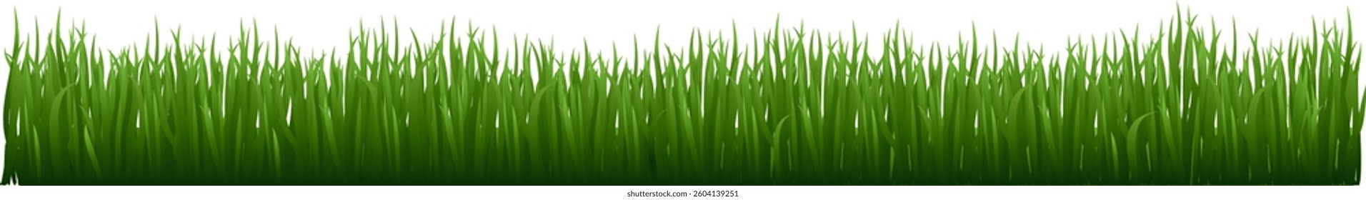 Lush green garden herb plants creating a vibrant landscape, enhancing fresh lawn elements and showcasing beautiful meadow foliage against a clean white background
