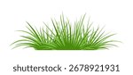 Lush green grass isolated on white background. Vector cartoon flat illustration. 