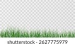 Lush Green Grass.
Natural Grass Patch.Transparent Grass Overlay.
Spring Green Lawn.
Eco Grass Element.